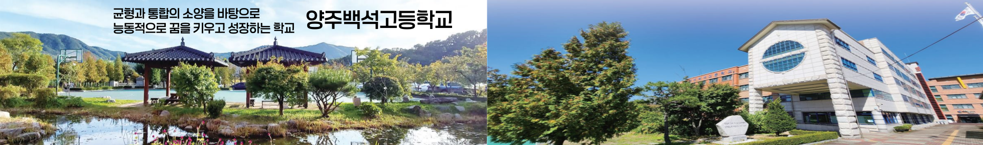 sub_image-001 (2).png